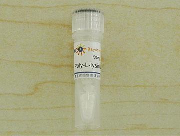 Poly-L-lysine/多聚赖氨酸